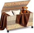 42.3 Gallon Water Hyacinth Rolling Storage Trunk